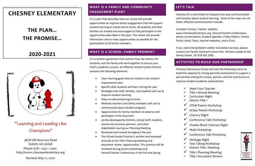 CES Plan & Promise 